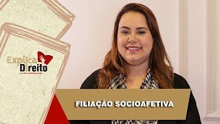 Explica Direito Filiação Socioafetiva  2019 [upl. by Layor]